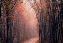 皇冠信用网 -奋进“十五五” 谱寫(xiě)新篇章