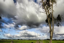 皇冠网址 -佳木斯市前进区谱写红色传承新篇(piān)章